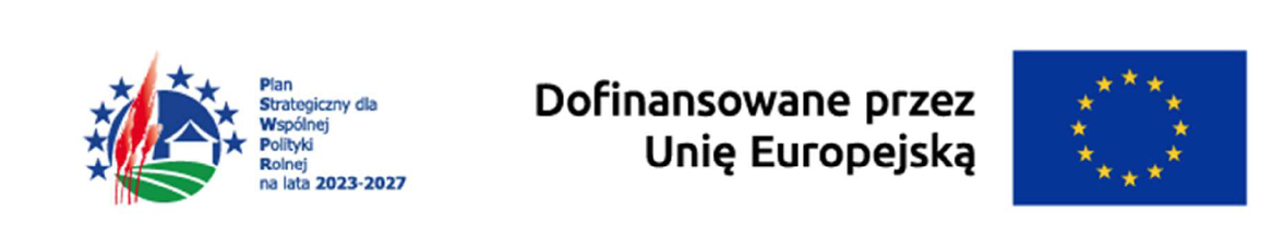 UE