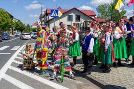 Zdjęcie 7