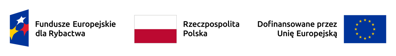 Zdjęcie 1