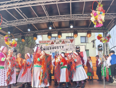 Zdjęcie 14