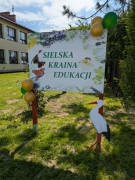 Zdjęcie 12