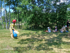 Zdjęcie 33
