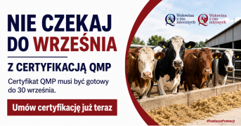 Zdjęcie 1