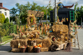 Zdjęcie 8