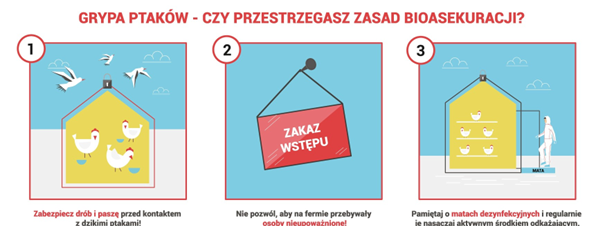 UWAGA GRYPA PTAKÓW!!